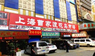 上海食品批发市场