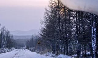 内蒙古大兴安岭林管局 内蒙古大兴安岭林管局